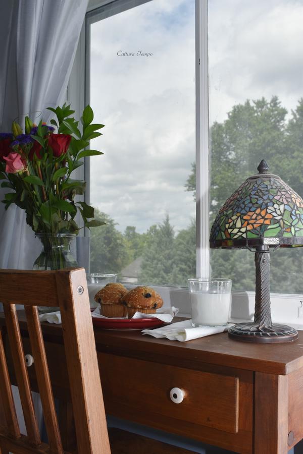 Winridge Manor Bed And Breakfast Madison Heights Exterior foto